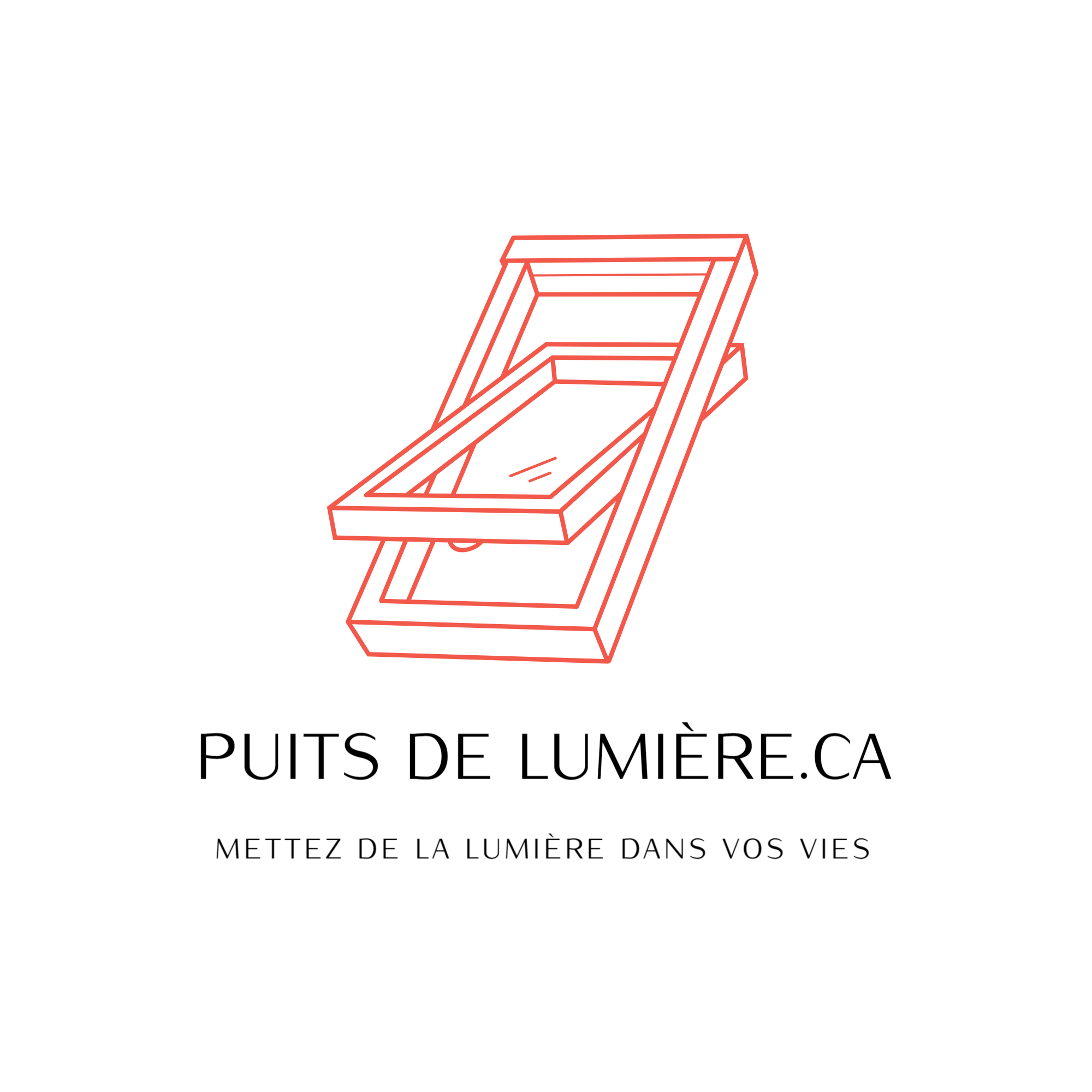 Puits De Lumiere logo